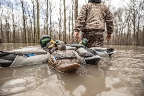 Why Dive Bomb Industries Is the Go-To Brand for Waterfowl Hunters Dive Bomb